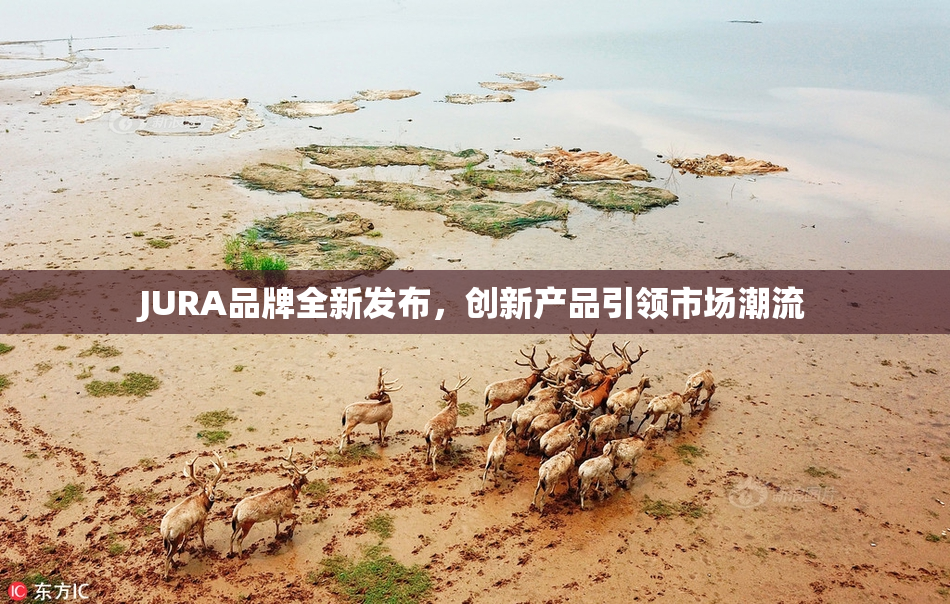 JURA品牌全新发布，创新产品引领市场潮流