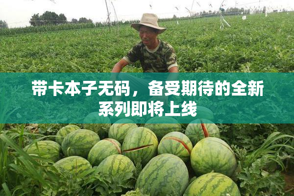 带卡本子无码，备受期待的全新系列即将上线