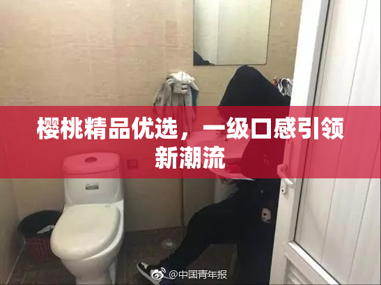 樱桃精品优选，一级口感引领新潮流