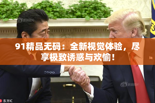 91精品无码：全新视觉体验，尽享极致诱惑与欢愉！