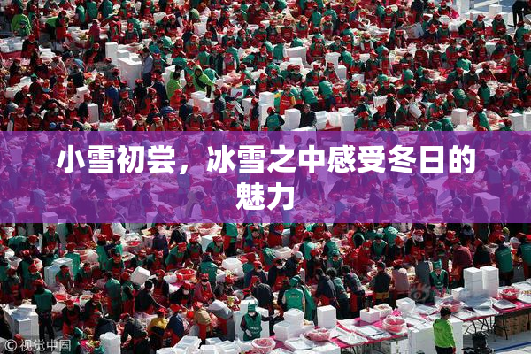 小雪初尝，冰雪之中感受冬日的魅力