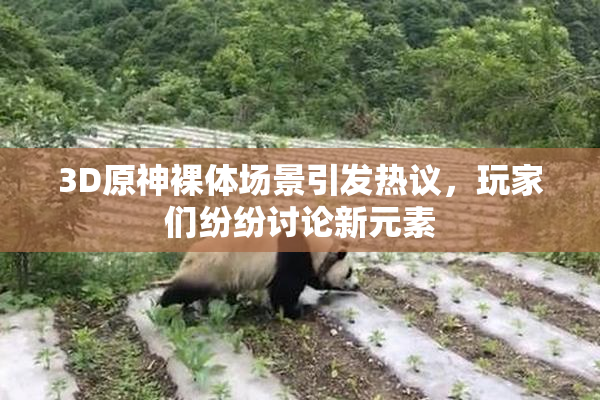 3D原神裸体场景引发热议，玩家们纷纷讨论新元素