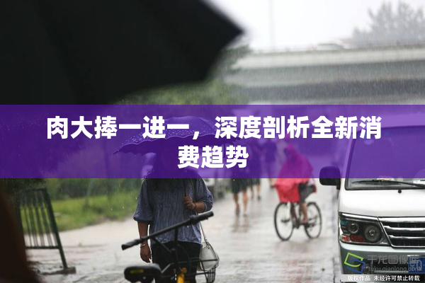 肉大捧一进一，深度剖析全新消费趋势