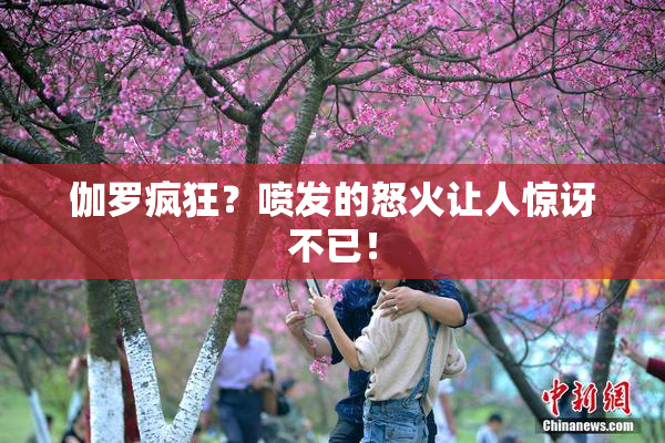 伽罗疯狂？喷发的怒火让人惊讶不已！