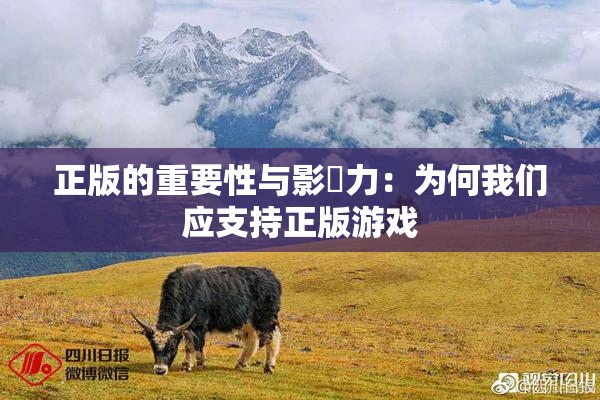 正版的重要性与影響力：为何我们应支持正版游戏