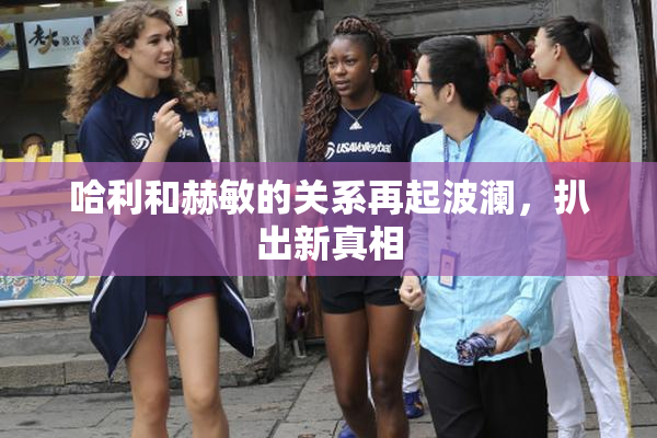 哈利和赫敏的关系再起波澜，扒出新真相