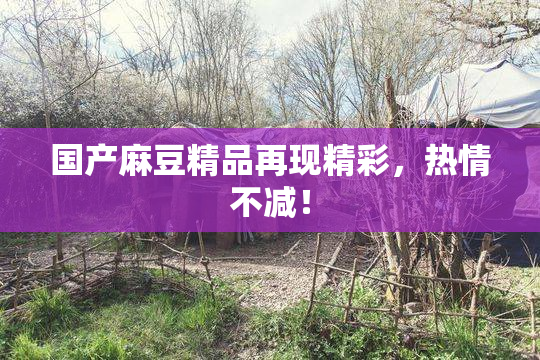 国产麻豆精品再现精彩，热情不减！