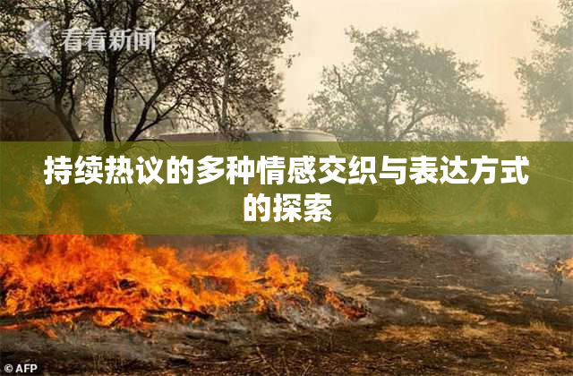 持续热议的多种情感交织与表达方式的探索