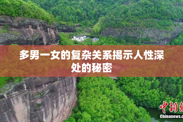 多男一女的复杂关系揭示人性深处的秘密