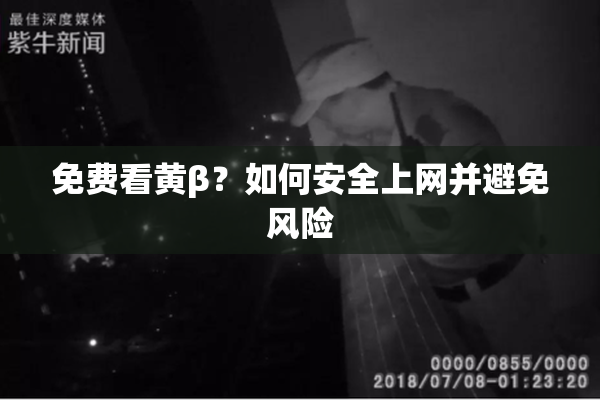 免费看黄β？如何安全上网并避免风险