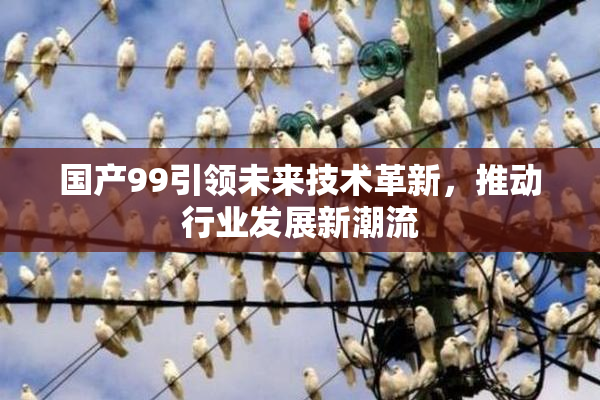 国产99引领未来技术革新，推动行业发展新潮流