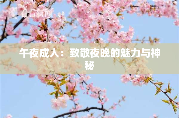 午夜成人：致敬夜晚的魅力与神秘
