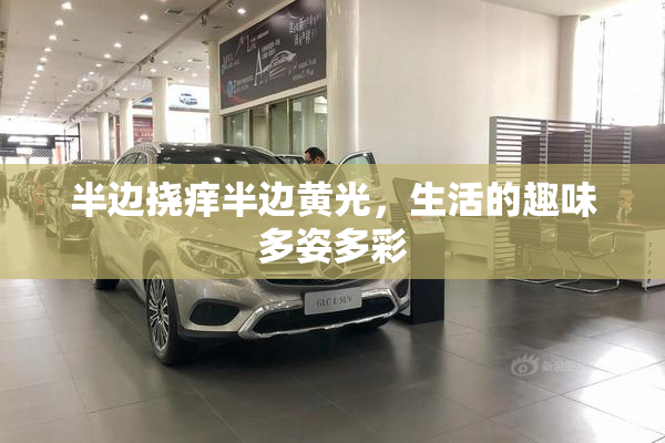 半边挠痒半边黄光，生活的趣味多姿多彩