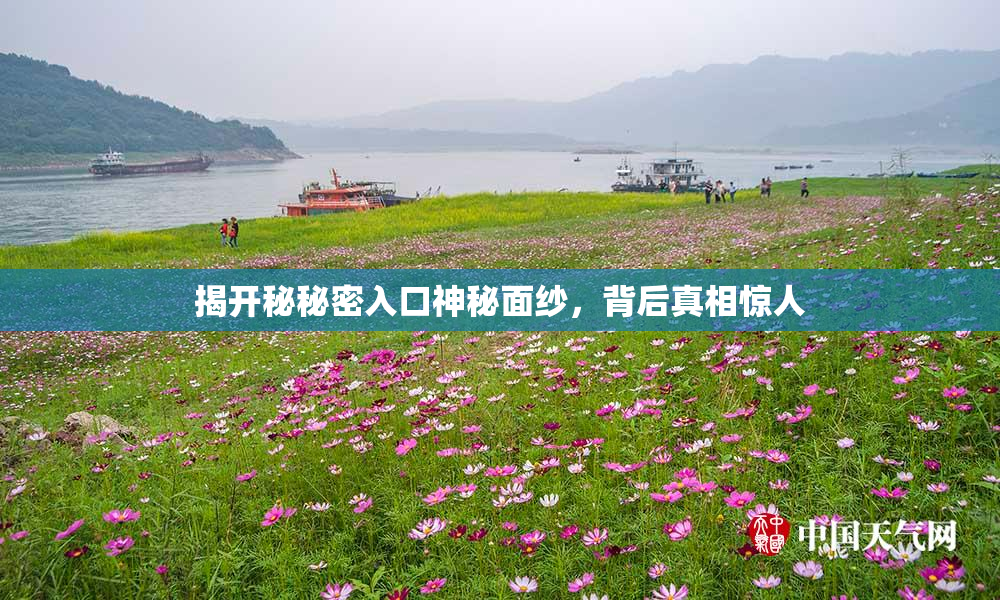 揭开秘秘密入口神秘面纱，背后真相惊人