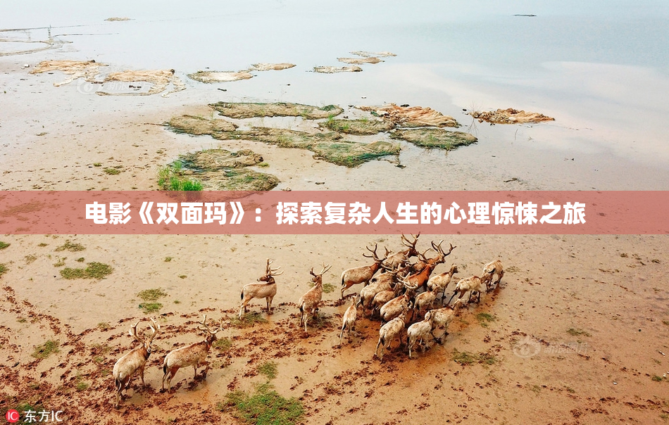 电影《双面玛》：探索复杂人生的心理惊悚之旅