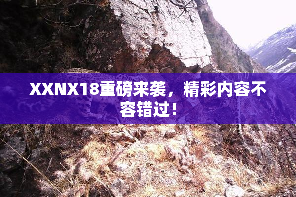 XXNX18重磅来袭，精彩内容不容错过！