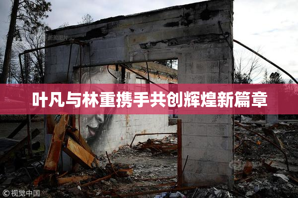 叶凡与林重携手共创辉煌新篇章