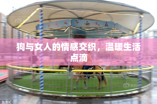 狗与女人的情感交织，温暖生活点滴