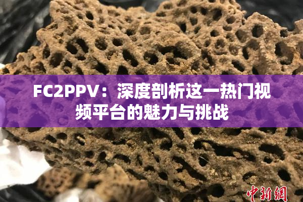 FC2PPV：深度剖析这一热门视频平台的魅力与挑战