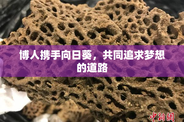博人携手向日葵，共同追求梦想的道路