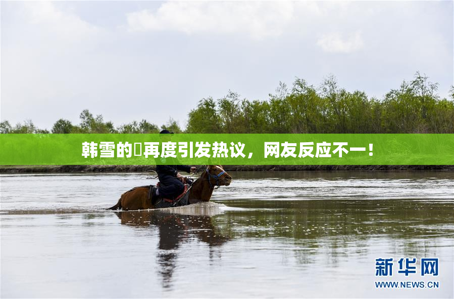 韩雪的婬再度引发热议，网友反应不一！