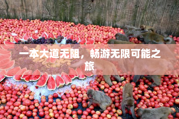一本大道无阻，畅游无限可能之旅