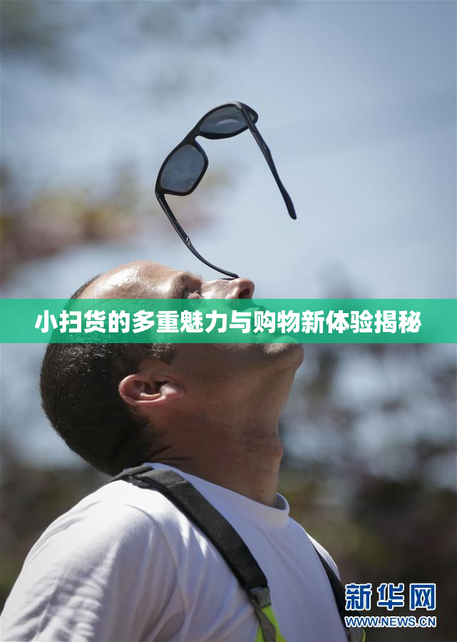 小扫货的多重魅力与购物新体验揭秘