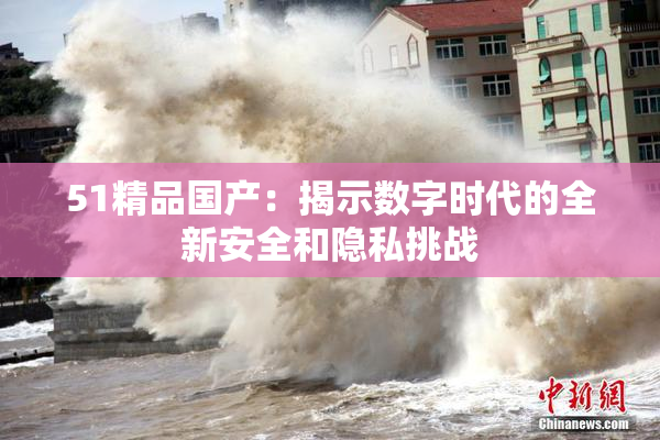 51精品国产：揭示数字时代的全新安全和隐私挑战
