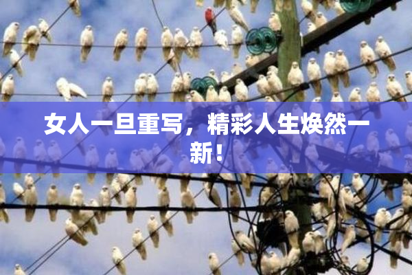 女人一旦重写，精彩人生焕然一新！