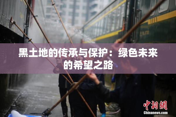 黑土地的传承与保护：绿色未来的希望之路