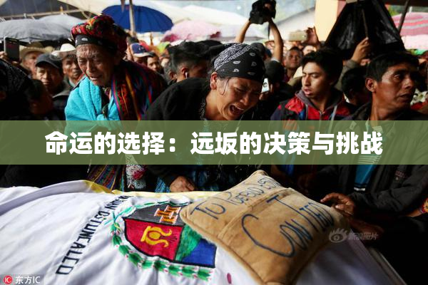 命运的选择：远坂的决策与挑战