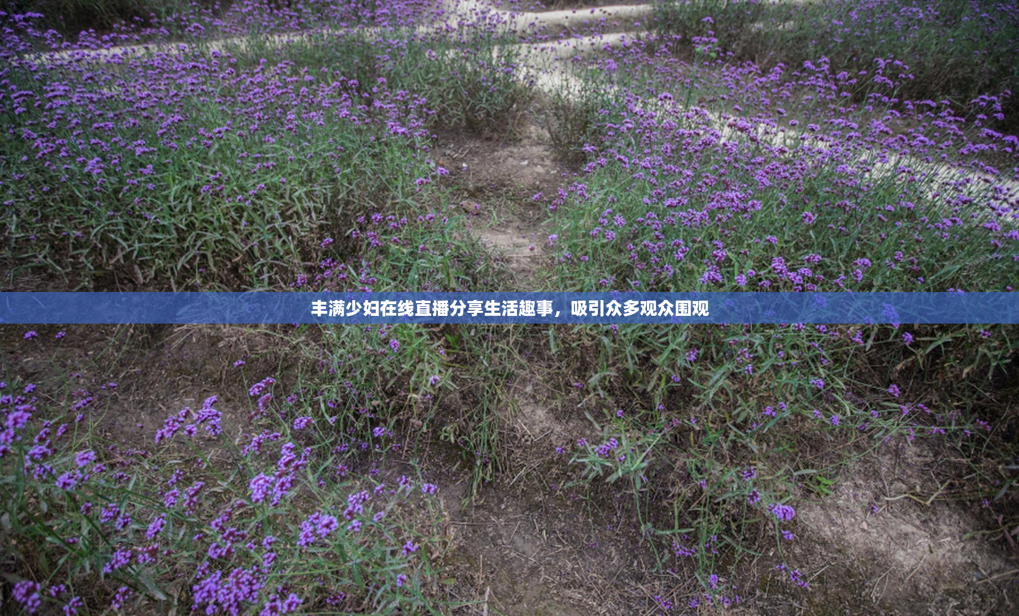丰满少妇在线直播分享生活趣事，吸引众多观众围观