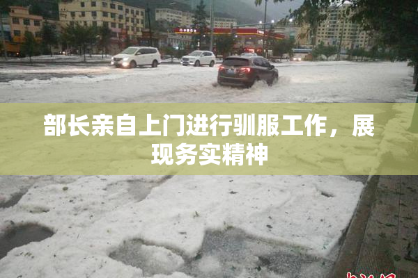 部长亲自上门进行驯服工作，展现务实精神
