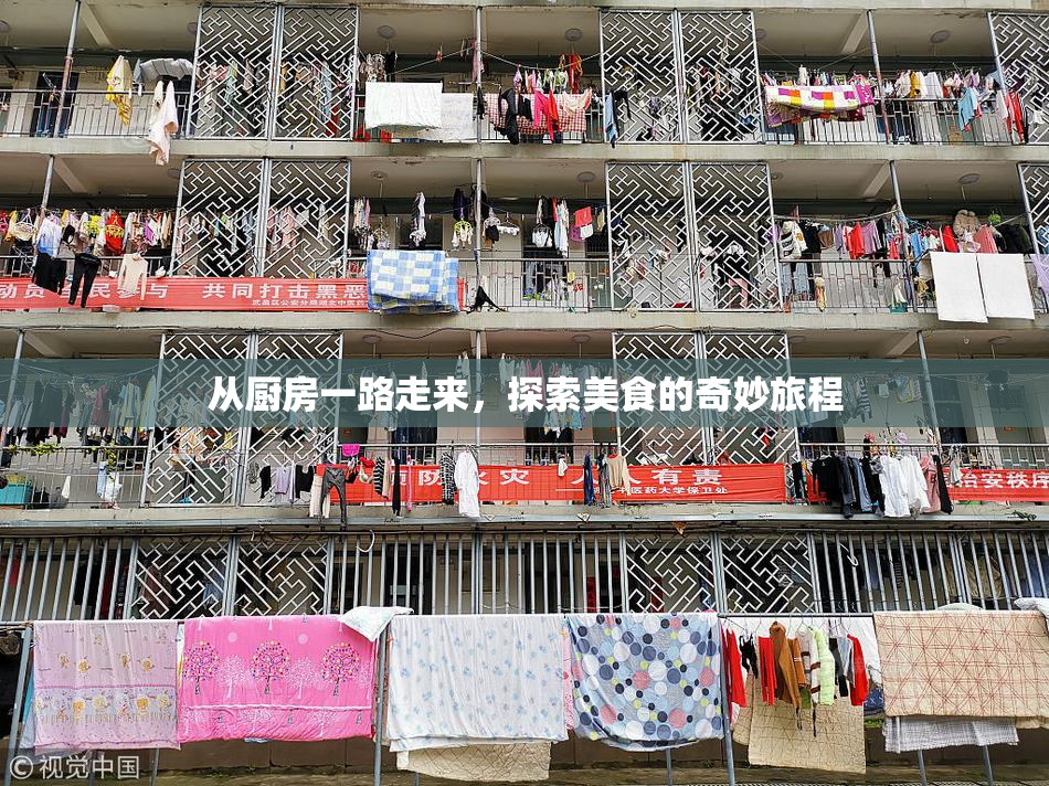 从厨房一路走来，探索美食的奇妙旅程