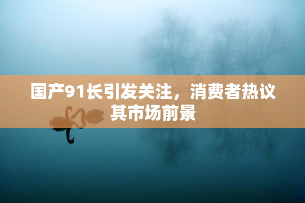 国产91长引发关注，消费者热议其市场前景