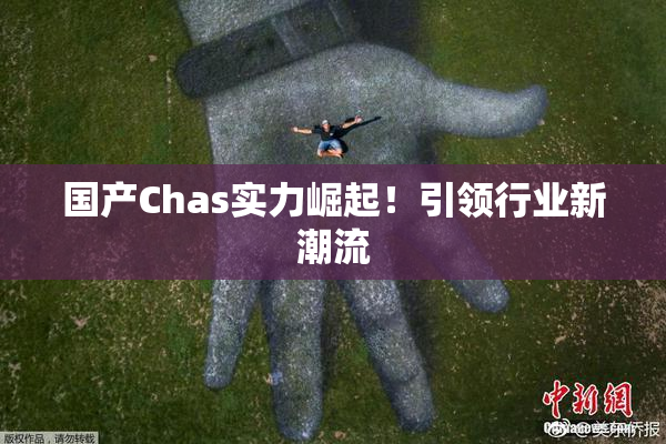 国产Chas实力崛起！引领行业新潮流