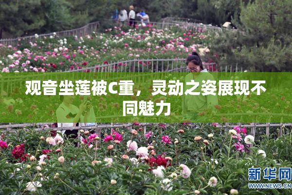 观音坐莲被C重，灵动之姿展现不同魅力