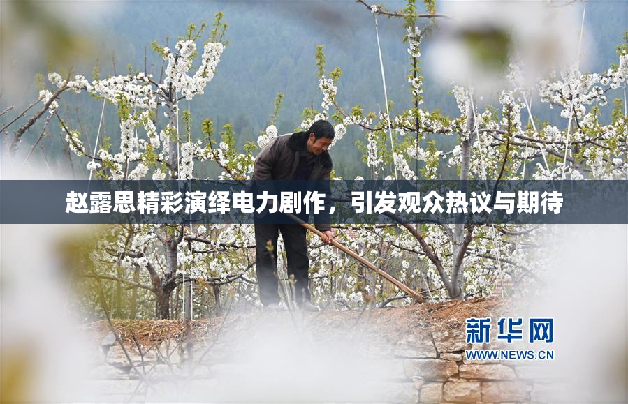 赵露思精彩演绎电力剧作，引发观众热议与期待