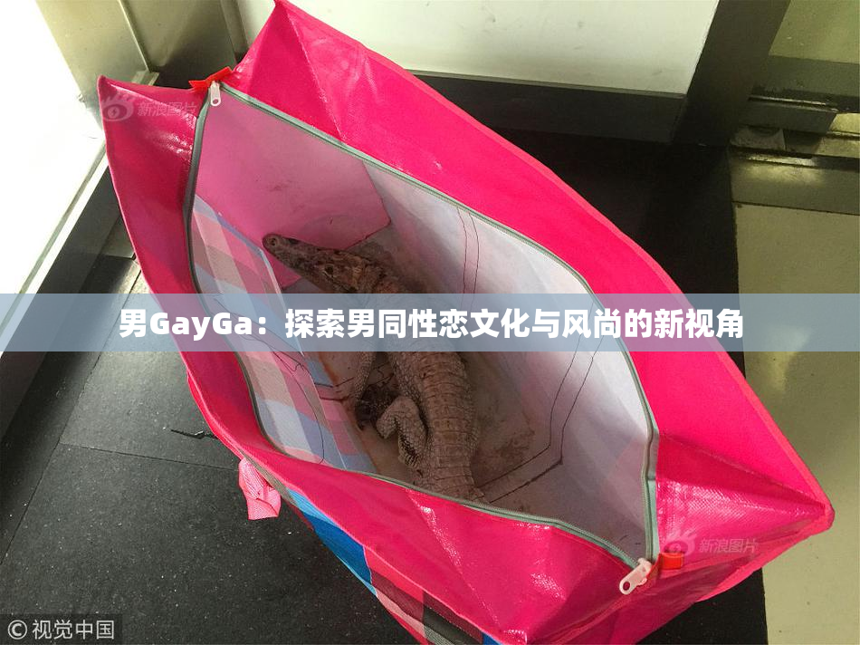 男GayGa：探索男同性恋文化与风尚的新视角