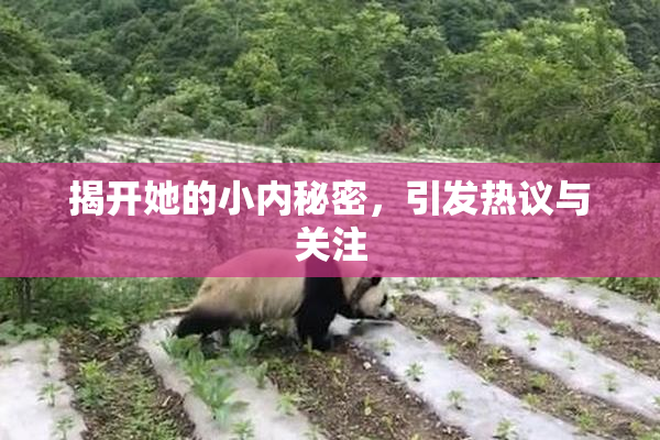 揭开她的小内秘密，引发热议与关注