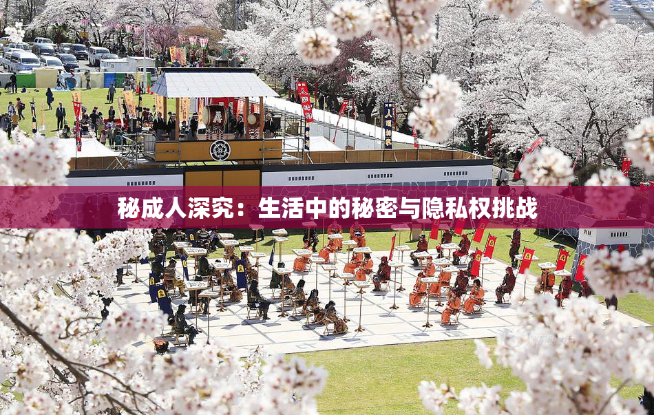 秘成人深究：生活中的秘密与隐私权挑战