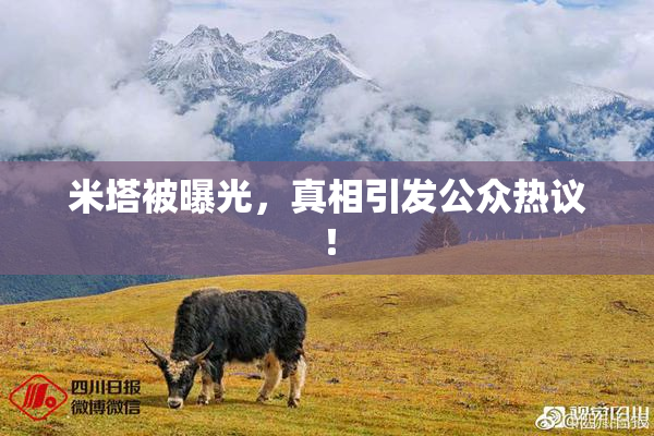 米塔被曝光，真相引发公众热议！