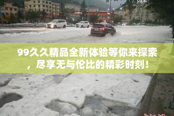 99久久精品全新体验等你来探索，尽享无与伦比的精彩时刻！