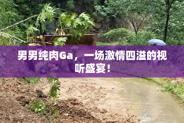 男男纯肉Ga，一场激情四溢的视听盛宴！