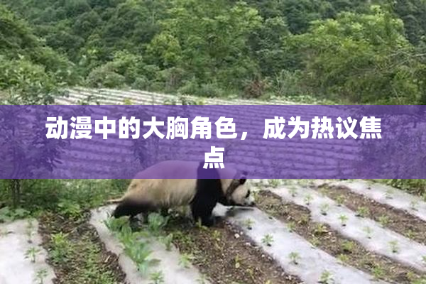 动漫中的大胸角色，成为热议焦点