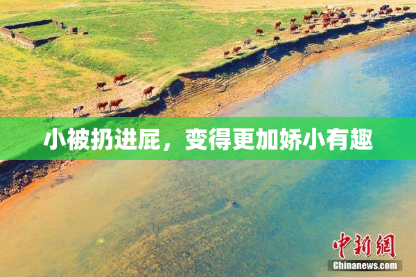 小被扔进屁，变得更加娇小有趣