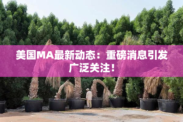 美国MA最新动态：重磅消息引发广泛关注！
