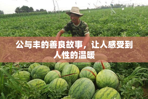 公与丰的善良故事，让人感受到人性的温暖