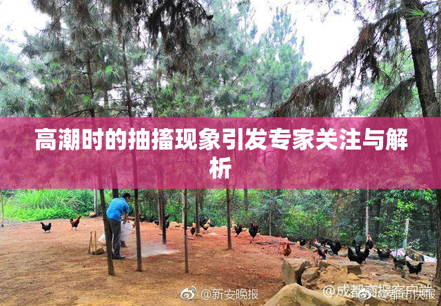 高潮时的抽搐现象引发专家关注与解析