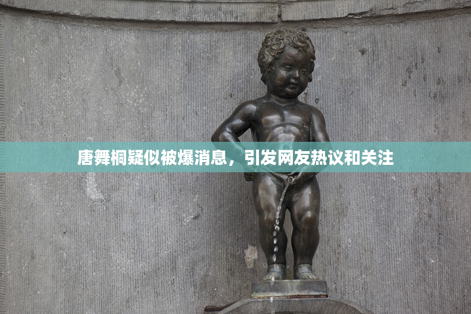 唐舞桐疑似被爆消息，引发网友热议和关注